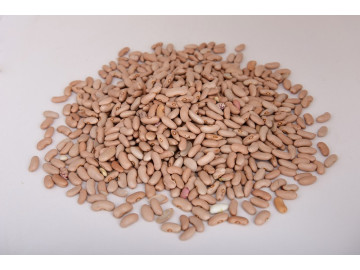 FEIJAO MANTEIGA 250GR