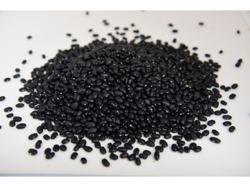 FEIJAO PRETO 500GR