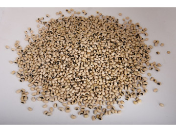 FEIJAO FRADE 250GR