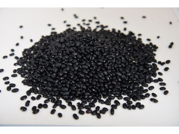 FEIJAO PRETO