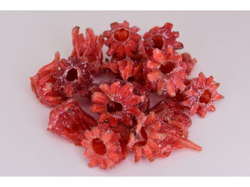 FLOR DE IBISCO NATURAL 500GR