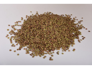 LENTILHAS 500GR